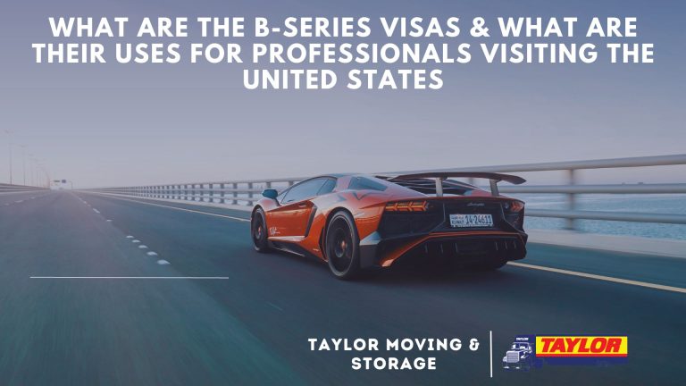 What are the B-series visas and what are their uses for professionals visiting the United States