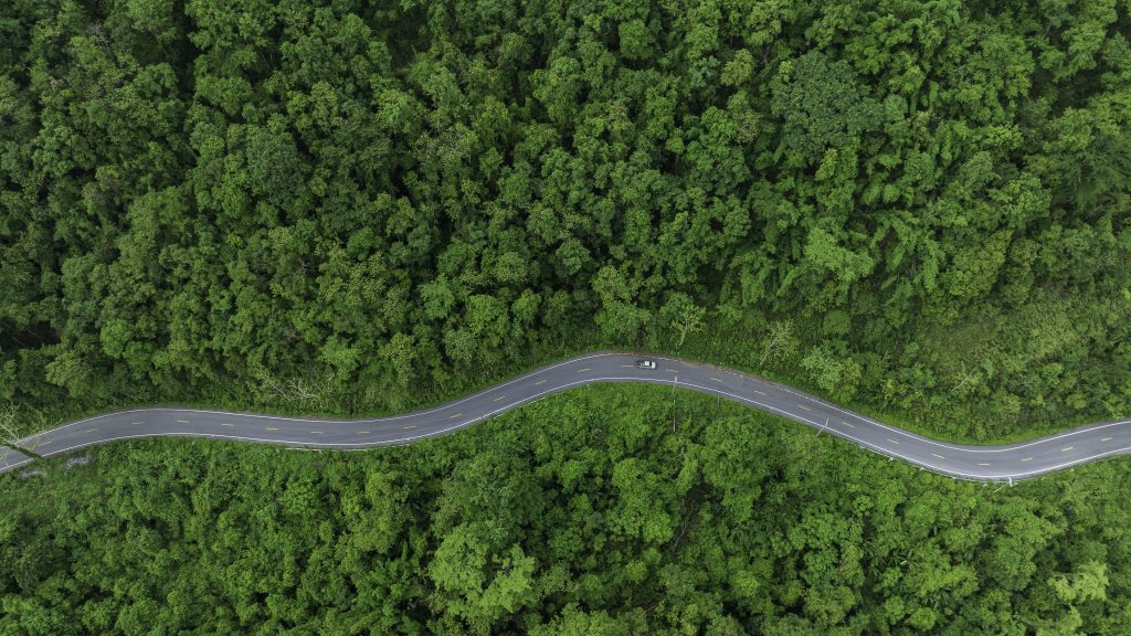 Birds eye view of a winding road in a forest